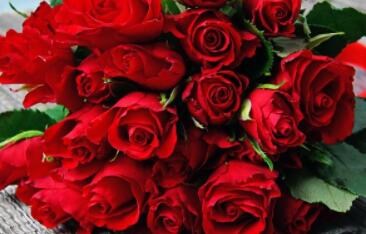 情感咨询 情感挽回 情感专家免费在线咨询24小时电话